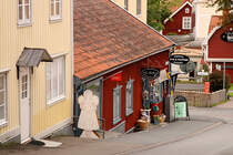 Auch ein Blick abseits der Hauptstrae ist durchaus lohnenswert, hier eine kleine Buchhandlung. Grnna 20.08.2008