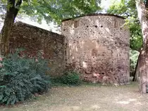 �berreste der mittelalterlichen Stadtmauer im Bereich der Nordallee in Trier; 120824