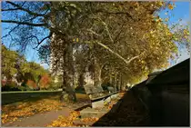 B�nke im Victoria Tower Gardens laden am Themse Ufer zum verweilen ein.
(14.11.2012)