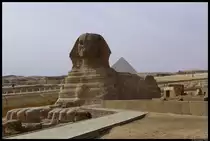Die gro�e Sphinx von Gizeh. Im Hintergrund die Pyramide des Mykerinos. (21.11.2012)