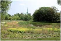 Der Turm des Bad Doberaner Mnsters berragt die Baumwipfel. Aufnahmedatum: 14.06.2007