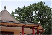 Chinesisch anmutende Ornamentik am roten Pavillon in Bad Doberan. Aufnahmedatum: 14.06.2007