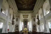 Bad Wurzach, St. Verena Kirche, fr�hklassizistischer Stil, Deckenfresko von Andreas Brugger (14.03.2012)
