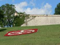 Das Erfurter Stadtwappen als Blumenbeet auf dem Petersberg. 17.6.2007