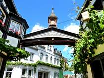 Deutschland, Rheinland-Pfalz, Landkreis Mayen-Koblenz, Winningen, 17.06.2012