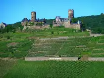 Deutschland, Rheinland-Pfalz, Landkreis Mayen-Koblenz, Schloss Thurant �ber Alken an der Untermosel, 17.06.2012