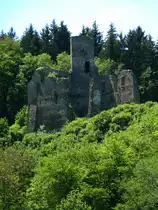 Deutschland, Rheinland-Pfalz, Landkreis Vulkaneifel, �xheim, Burgruine Neublankenheim vom Kalkeifel Radweg aus gesehen, 29.05.2011 