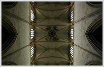 Ulmer M�nster: Deckenuntersich im Mittelschiff. 23.6.2007 (Matthias)