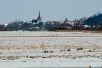 2013 im Feb., Blick auf Bad Freienwalde.