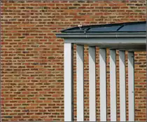 . Salem International College �berlingen - Die leichte Holzkonstruktion des Klassenzimmergeb�udes vor der massiven Backsteinfassade des Hauptbauwerks. 05.03.2011 (Jonas)