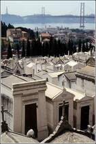 Lissabon. Vom Cemitrio dos Prazeres (Friefhof der Freuden) hat man auch einen Blick auf die Tejo-Brcke.
Scan eines Dias vom April 1995. 

