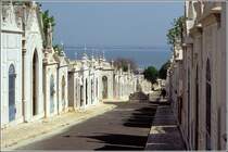 Lissabon. Der Cemitrio do Alto de Sao Joao liegt im Osten der Stadt. Ganze Straenzge sind von hausartigen Grabsttten gesumt.
Scan eines Dias vom April 1995.