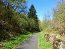 Deutschland, Rheinland-Pfalz, Eifel, der Maare-Mosel-Radweg (MMR) zwischen dem  Grossen Schlitzohr  Tunnel und Daun. Der MMR (58 km lang) verbindet Daun in der Vulkaneifel ber die ehemaligen Bahnnebenstrecken Daun-Wengerohr und Wengerohr–Bernkastel-Kues mit dem Moseltal. 05.05.2013
