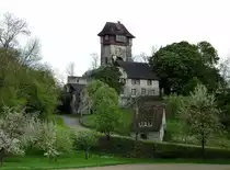 Burg Sponeck, die um 1280 erbaute Burg diente zum Schutz eines nahen  Rhein&uuml;bergangs, heute im Privatbesitz, April 2012