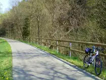Deutschland, Rheinland-Pfalz, Eifelkreis Bitburg-Pr�m, Eifel-Ardennen Radweg zwischen Bleialf und Ihren. 23.04.2011