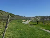 Achkarren, der Ort liegt eingebettet in die Weinberge des westlichen Kaiserstuhls, April 2013