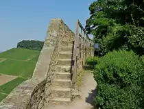 Burg Weinsberg,Weibertreu (Ruine) bei Heilbronn am 19.07.2013

�ussere Ringmauer um 1500.

Sie verwehrte den unmittelbaren Angriff auf die Burg. Sie war urspr�nglich 8-10 m hoch.