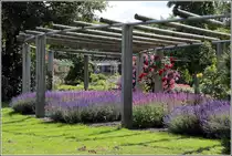 Bremen. Im weitl�ufigen Rhododendronpark gibt es vielerlei Pflanzen zu bewundern. 11.07.2013