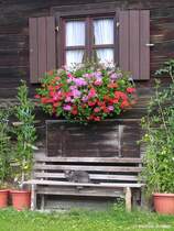 Altes Bauernhaus in Blaichach-Gunzesried, Landkreis Oberallg�u (Bayern, Juli 2008)