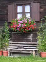 Altes Bauernhaus in Blaichach-Gunzesried, Landkreis Oberallg�u (Bayern, Juli 2008)