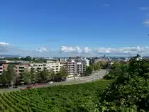 Freiburg im Breisgau, Blick von der Schlierbergstra�e auf die Stadt, im Vordergrund die Merzhauser Stra�e, Juli 2013