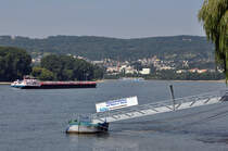 Rhein bei Neuwied, im Hintergrund am Rheinbogen der Ort Feldkirchen - 22.08.2013