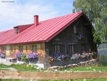 Alpe westlich vom  Allg�uer Berghof  auf den H�rner, Ofterschwang (Landkreis Oberallg�u, Sommer 2009)