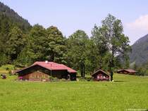 Bauernh�fe im Trettachtal zwischen Christlessee und Spielmannsau s�dlich von Oberstdorf (Landkreis Oberallg�u, Sommer 2009)