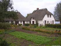 Reet gedeckte Huser im Sden von Kappen (Kreis Schleswig-Flensburg in Schleswig-Holstein, Herbst 2009)