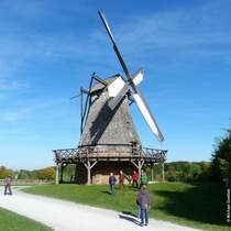 Kappenwindmhle - die Flgel sind in Bewegung, LWL-Freilichtmuseum Detmold (Kreis Lippe, NRW, Oktober 2013)