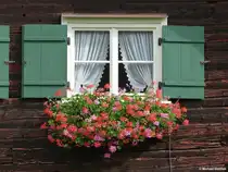 Fenster eines Bauernhofs in Oberstdorf in der Wagnergasse (Landkreis Oberallg�u, September 2013)