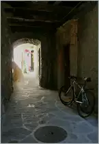 Fahrr�der warten in aller Ruhe auf ihren Einsatz.
(14.09.2013)