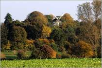 In Vollersode-Wallhfen ragen die Flgel der Hollnderwindmhle aus den umgebenden Bumen. Heute wird die 1880 errichtete Mhle als Wohnhaus genutzt. 22.10.2013