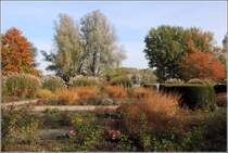 Bremervrde. Herbstfarben im Natur- und Erlebnispark am Vrder See. 22.10.2013