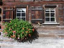 Detailaufnahme von Haus Nr. 4 in Gerstruben (Landkreis Oberallg�u, Bayern, Oktober 2013)