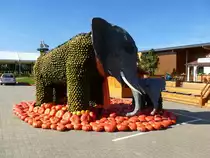 Feldkirch im Markgr�flerland, auf dem Bohrerhof findet j�hrlich im Herbst eine gro�e K�rbisschau statt, Sept.2013
