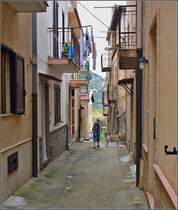 Scilla - In den Gassen des Stdchens. Sommer 2013.