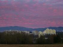 Freiburg, Blick beim Sonnenuntergang vom Lehener Berg auf den Stadtteil Landwasser und den Schwarzwald, Dez.2013