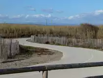 Frankreich, Languedoc, H�rault, der Radweg S�te-Marseillan, links und rechts die rehabilitierten D�nen. 04.02.2014