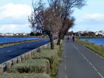 Frankreich, Languedoc, H�rault, Radweg von Frontignan nach Vic-la-Gardiole am Mittelmeer und an den 4 Weihern dieser Gegend. Der Radweg in Frontignan-Plage. 07.02.2014