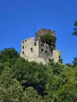 Waldkirch, die frisch sanierte Ruine der Kastelburg, seit dem Drei�igj�hrigen Krieg zerst�rt, Sept.2013