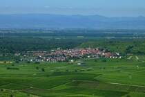 Blick vom 370m hohen Aussichtspunkt  Mondhalde  im westlichen Kaiserstuhl auf den Weinort Burkheim, die Rheinebene und im Hintergrund die Vogesen, Juni 2011