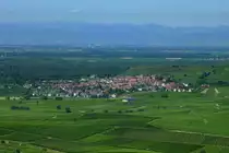 Blick vom 370m hohen Aussichtspunkt  Mondhalde  im westlichen Kaiserstuhl auf den Weinort Burkheim, die Rheinebene und im Hintergrund die Vogesen, Juni 2011