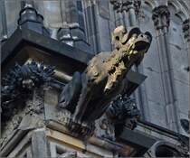 Kunst am Klner Dom - Wasserspeier. Frhjahr 2014.