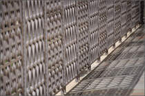 . Der Zaun am Garten Gethsemane -

19.03.2014 (Jonas)