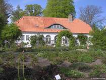 Im Garten vom Rosen-Caf am Schlosspark in Glcksburg (Kreis Schleswig-Flensburg, Schleswig-Holstein, Mai 2010)