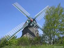 Mhle  Charlotte  in der Geltinger Birk nrdlich von Kappeln (Kreis Schleswig-Flensburg, Schleswig-Holstein, Mai 2010)