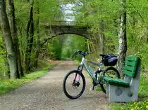 Deutschland, Rheinland-Pfalz, Fritz Wunderlich Radweg, Br�cke �ber die ehemalige Bahnlinie bei Pfeffelbach im Landkreis Kusel, Mountain Bike des Fotografen. 16.04.2014