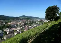 Freiburg, Blick vom Schlo�berg auf den Stadtteil Wiehre, im Hintergrund der 644m hohe Sch�nberg, Juni 2014
