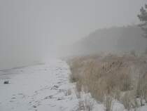 Trbes Winterwetter - Blick von Prora in Richtung Binz. 12/05